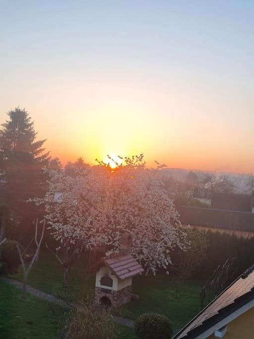 Ferienwohnung *Zur Weinbergstrasse* Lauta Екстер'єр фото