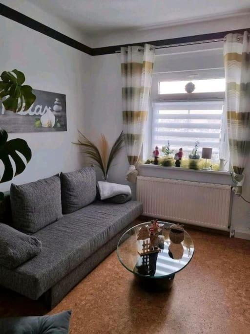 Ferienwohnung *Zur Weinbergstrasse* Lauta Екстер'єр фото