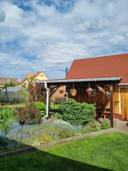 Ferienwohnung *Zur Weinbergstrasse* Lauta Екстер'єр фото