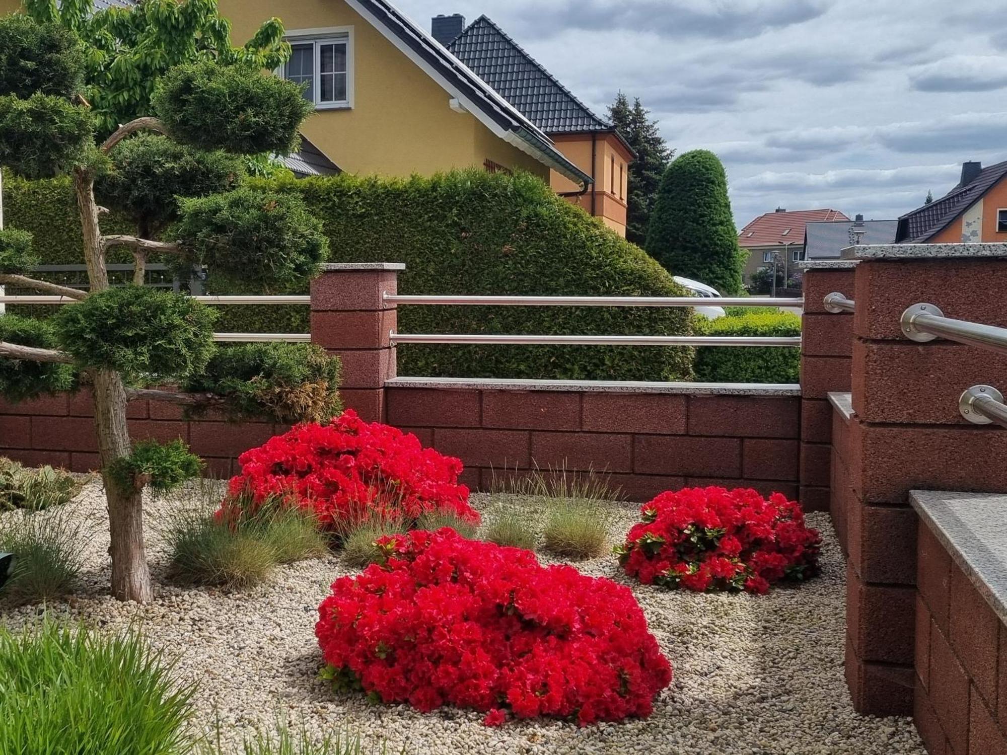 Ferienwohnung *Zur Weinbergstrasse* Lauta Екстер'єр фото